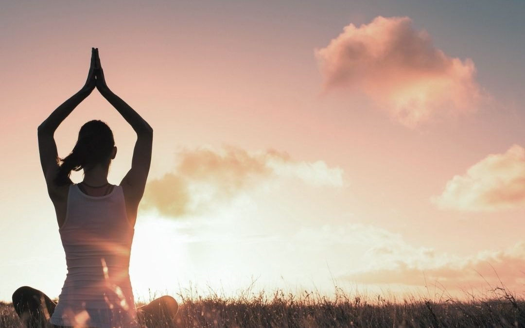 The Human Light Body