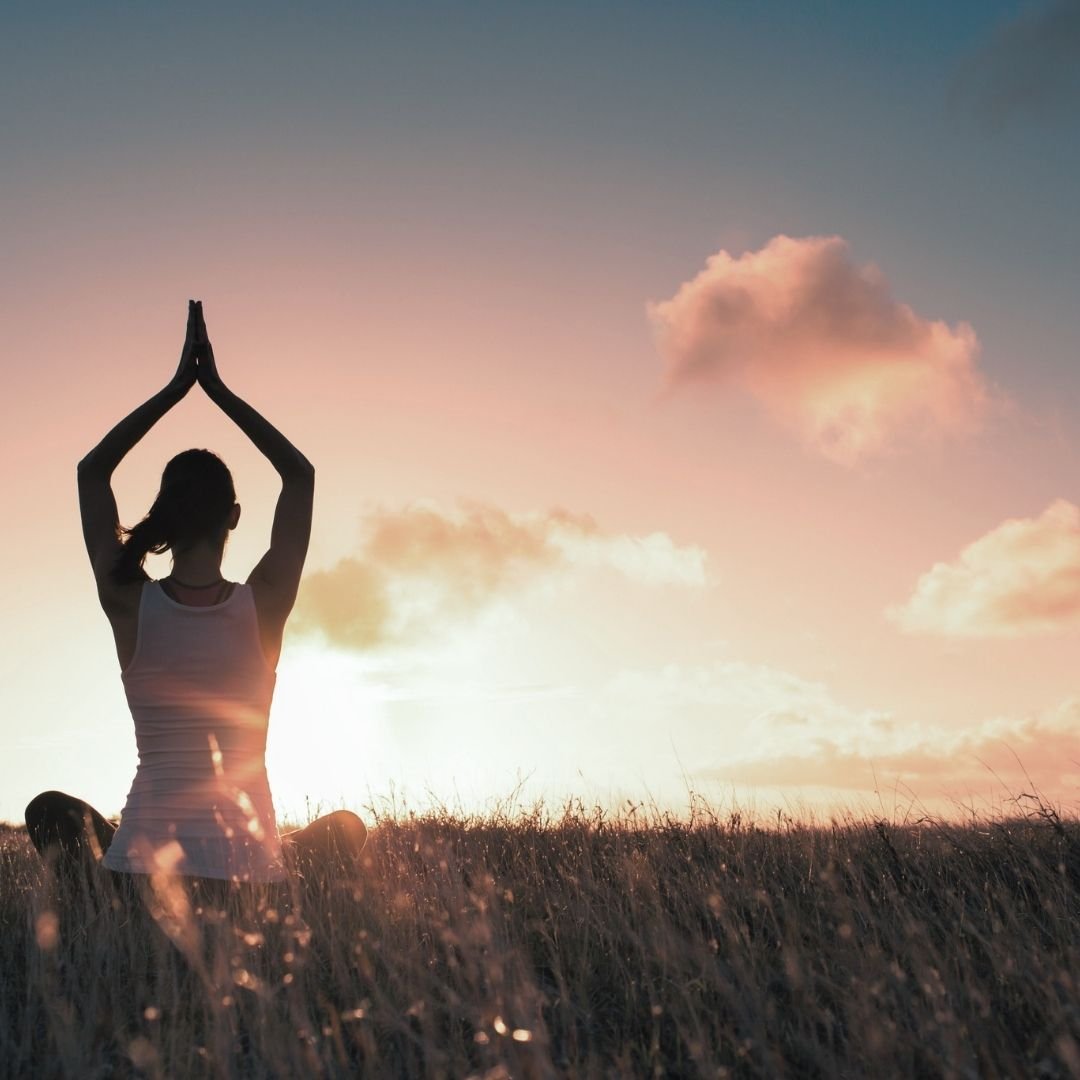 The Human Light Body