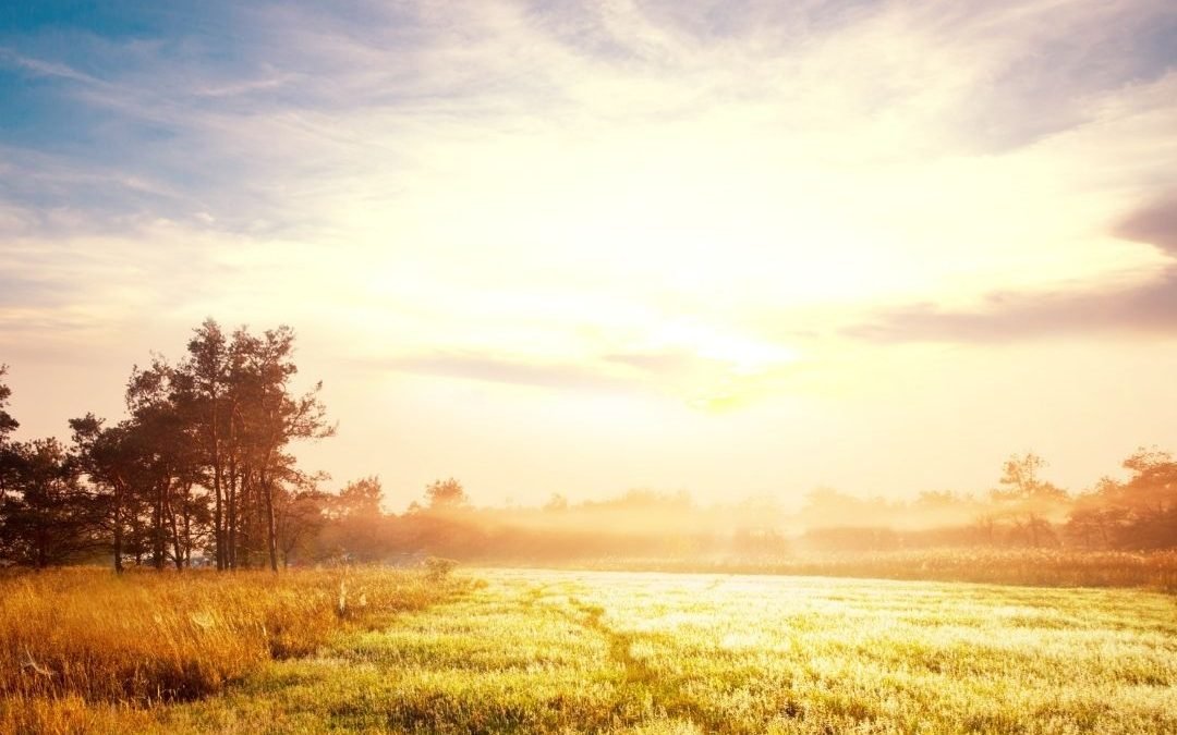 Shifting Consciousness