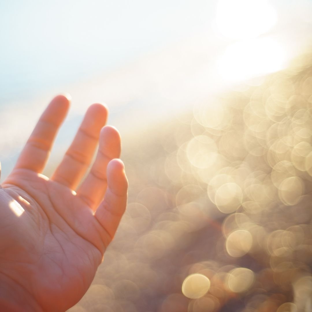 The Human Light Body
