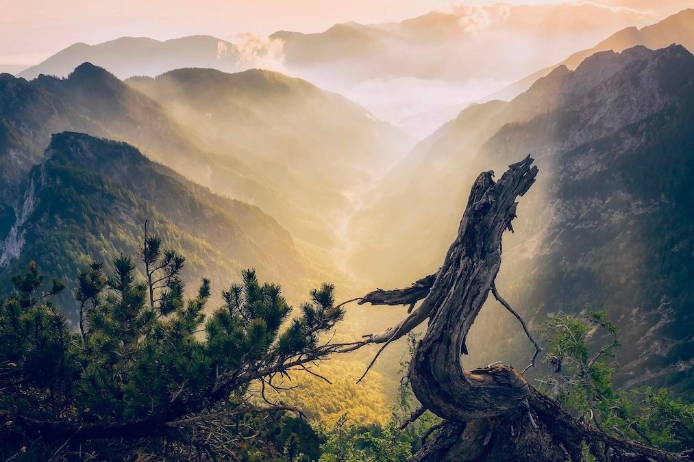 Time of Deep Collective & Individual Healing