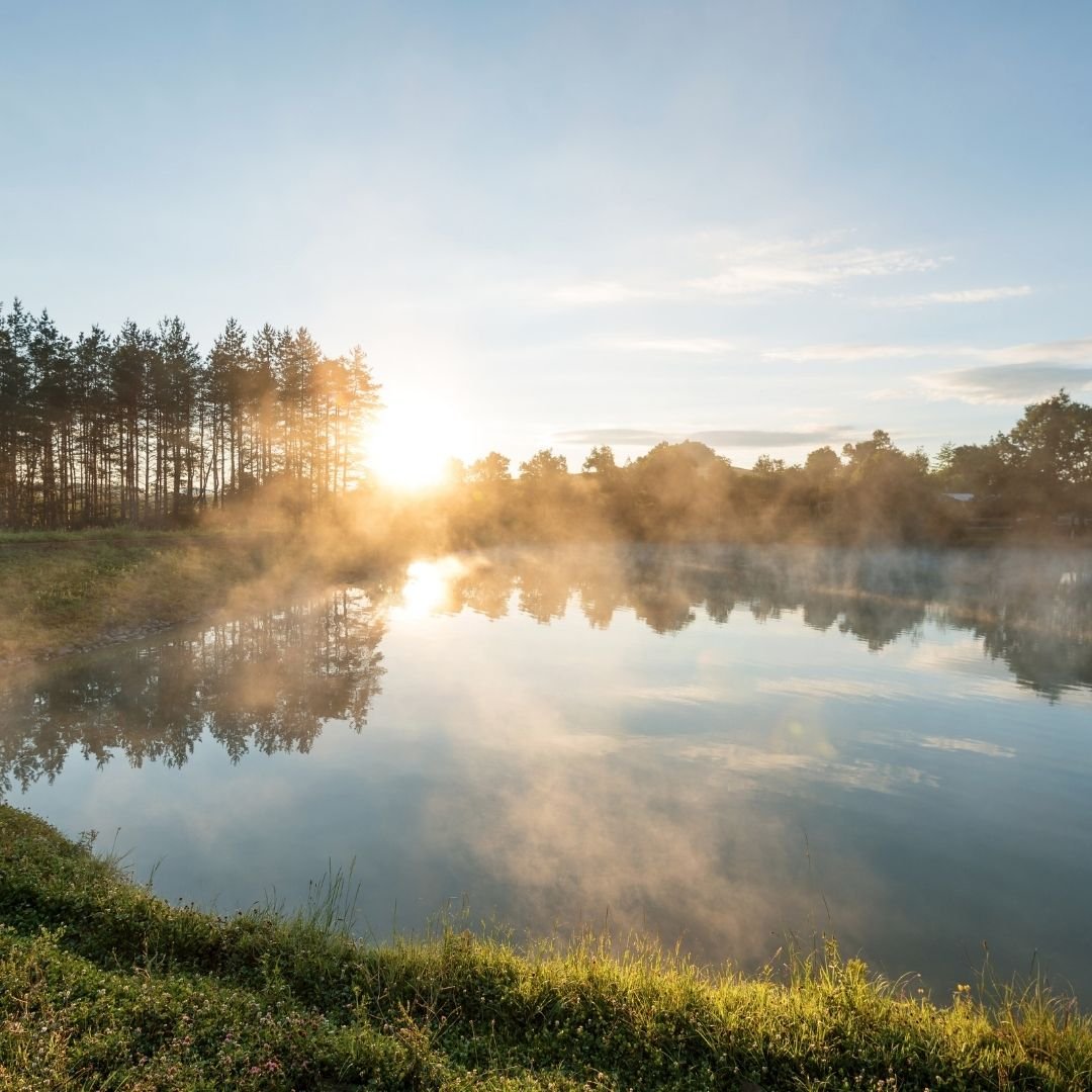 daily inspiration 29/7 sun over pond