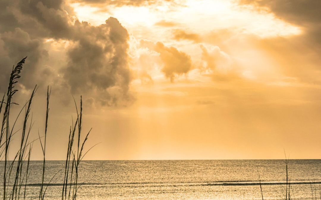 Find Peace & Calm within the Storm