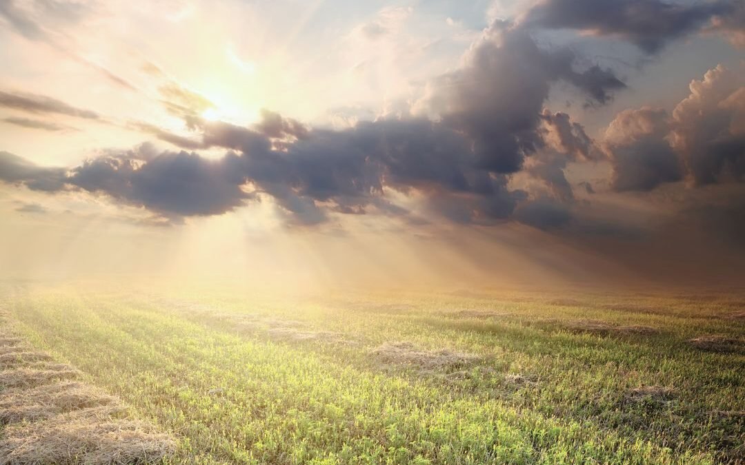 Discern What Needs Healing & What Needs Release