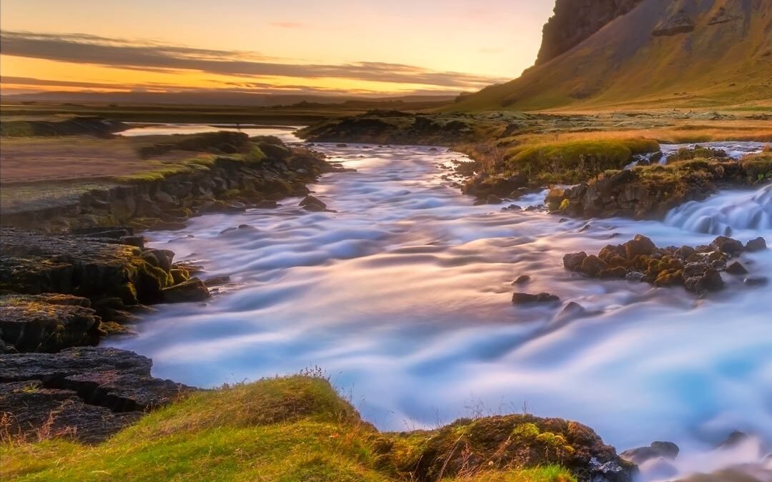 A Willingness to See