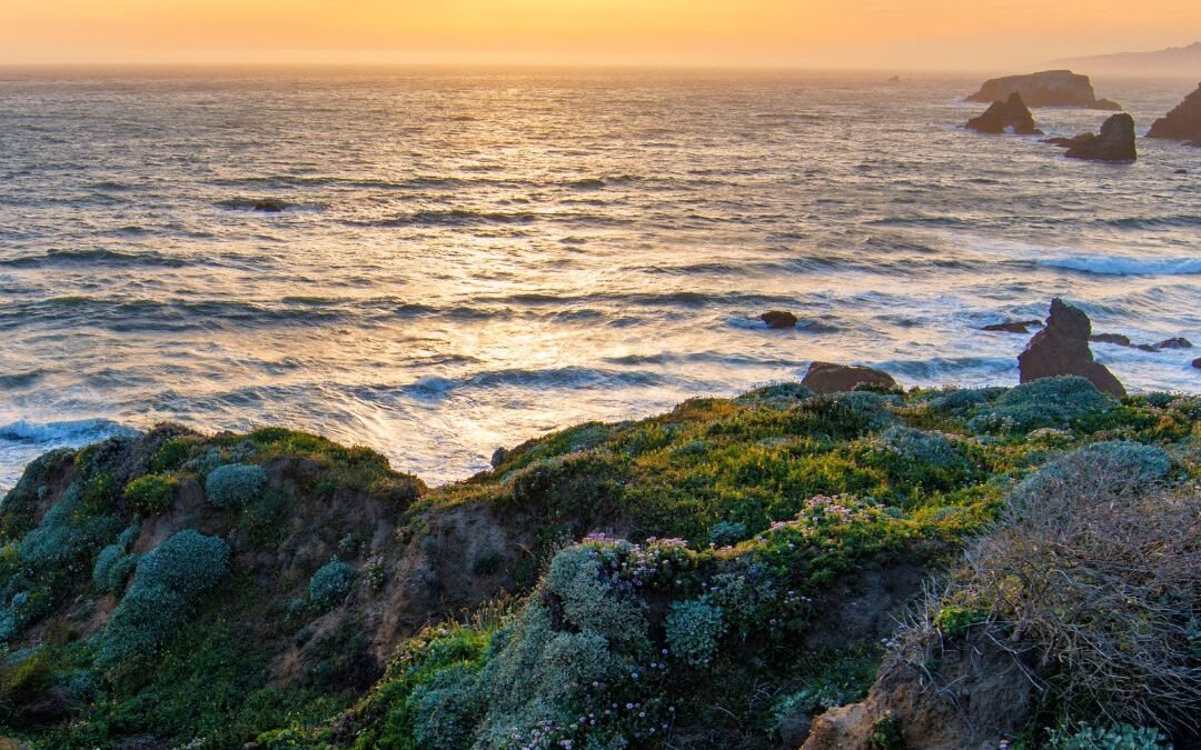 Moving with the Tide