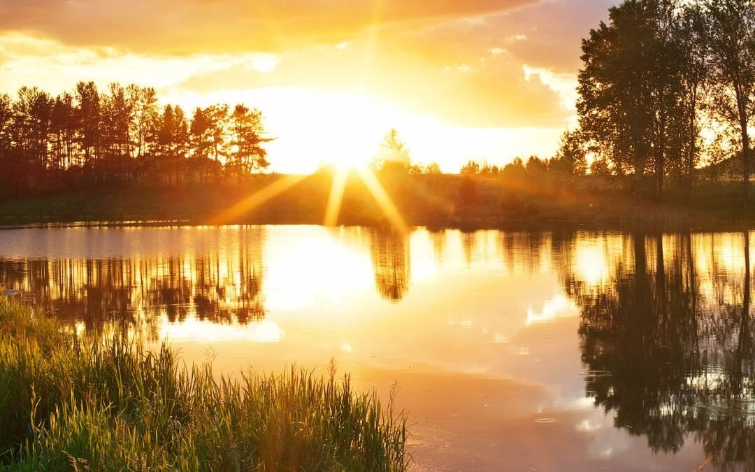 Revise Your Version of Self-Worth & Creativity