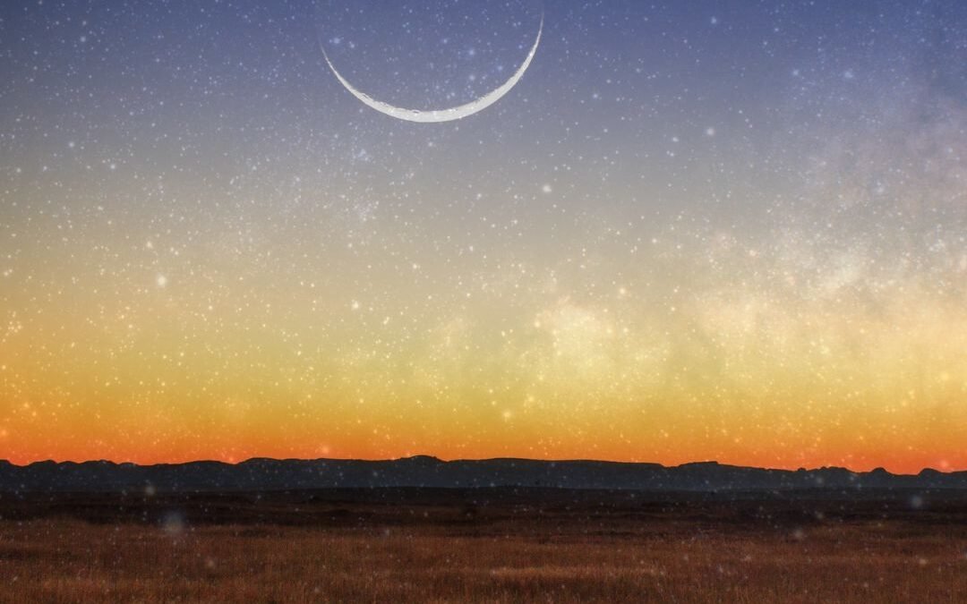 New Moon Reset