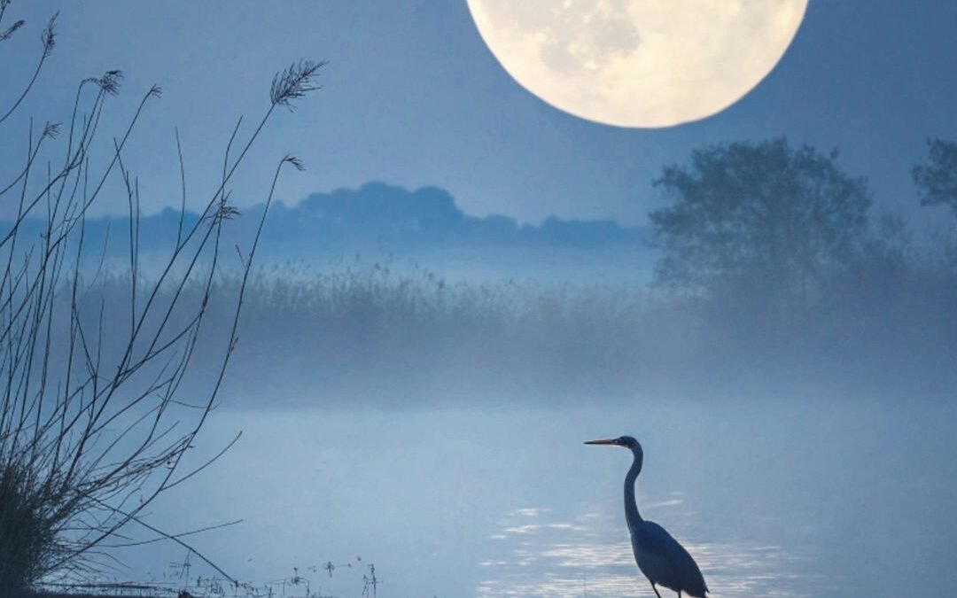 First Full Moon of May
