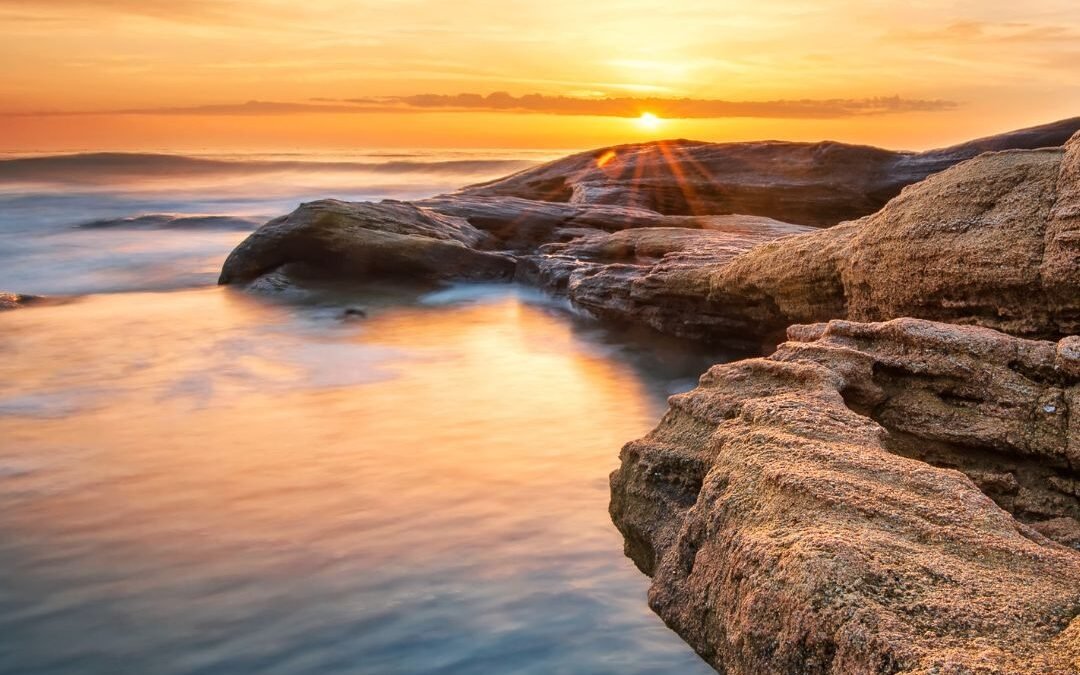 Trust the Evolutionary Impulse of Your Soul