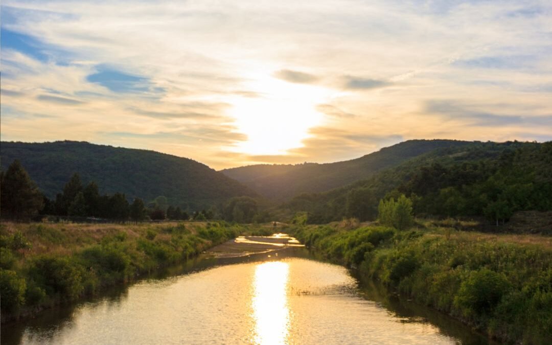 sun on river