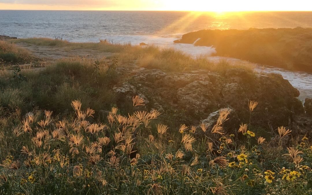 sunrise over bay