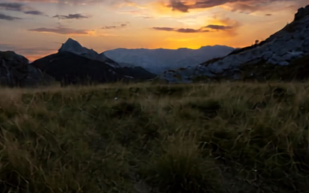 The Power of Stillness